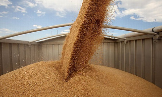 Беларусь и Россия увеличили поставки зерна в ЕС через Литву с середины марта