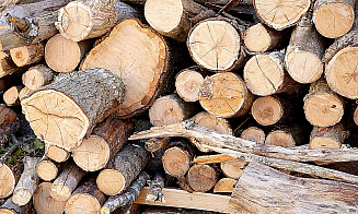 Минлесхоз не смог заместить европейские рынки сбыта пеллет после санкций