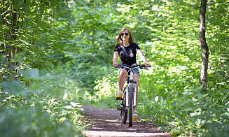 В 20 районах Беларуси ограничили посещение лесов