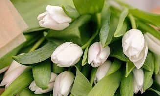 Российский бизнес Flowwow могут продать «Яндексу». Компания работает и в Беларуси