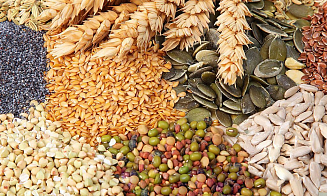 Беларусь продлила запрет на вывоз зерна