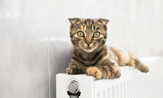 В Беларуси начинают отключать отопление