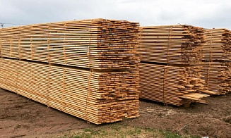 В Беларуси усилили ответственность за использование древесины из фондов исполкомов 