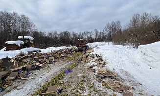 В России уничтожили 20 тонн польских груш, которые ввезли из Беларуси (фото)