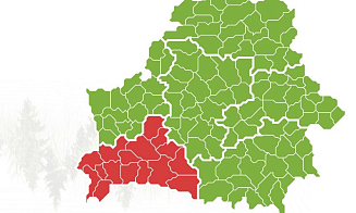 По всей Брестской области Беларуси запретили ходить в лес