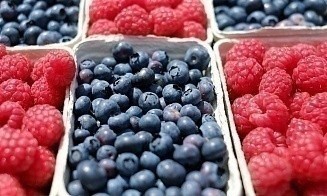 Кому не нужно платить налог с доходов от продажи грибов и ягод