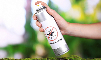 Средства от насекомых вместо купальников. Что покупают белорусы на Ozon этим летом