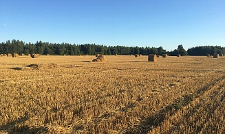 Пляжи, сапы и солнечные фото. Как провести последние выходные лета