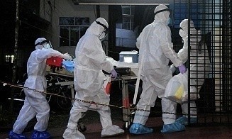 Минздрав прокомментировал вспышку вируса Нипах в Индии и оценил риски для белорусов