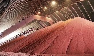 Доля «Беларуськалия» на мировом рынке удобрений сократилась вдвое