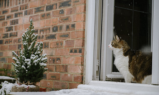 В выходные в Беларуси обещают первый снег
