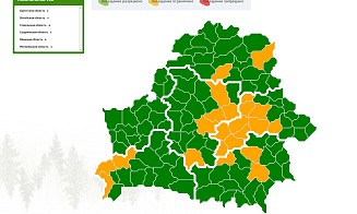 В Беларуси продолжают вводить ограничения на посещение лесов. Уже больше 20 районов