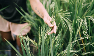 Китайский инвестор запустил в Беларуси агропромышленный проект