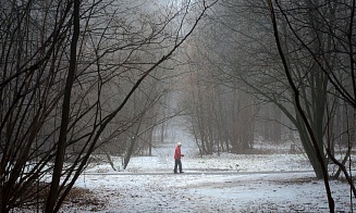 В Беларусь идет оттепель: будет до +3°С и дожди