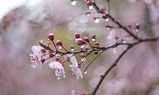 Грозы и ливни. Синоптики предупредили о непогоде в Беларуси