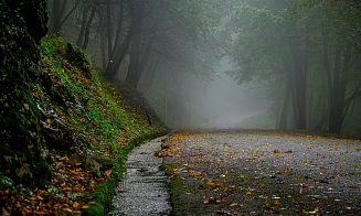 От летней жары до первых заморозков. Синоптики рассказали о погоде на следующей неделе