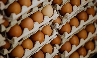 На полках белорусских магазинов могут появиться голубые яйца