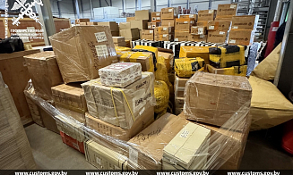 Таможня задержала партию «серого» импорта стоимостью $800 тыс.