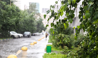 Лето снова откладывается. Какую погоду обещают синоптики на новую рабочую неделю