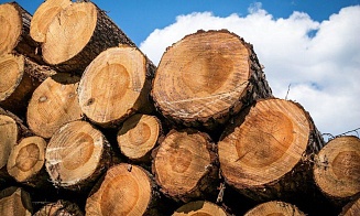 Экспортеров лесоматериалов обязали заключать сделки на биржевых торгах БУТБ