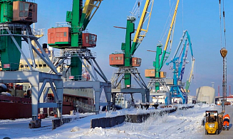 Подвела логистика? В Мурманске заявили о сокращении поставок белорусского корма для рыб