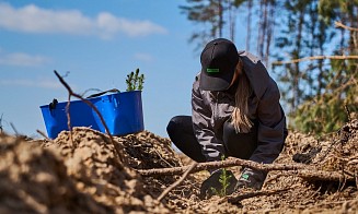 Betera Green Week: восстановление леса в Беларуси и конвертация лайков в деревья. Кейс экологического проекта