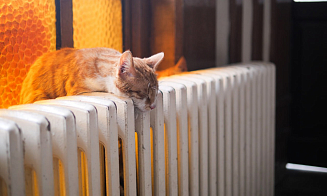 Синоптики предупредили о заморозках в первые выходные октября