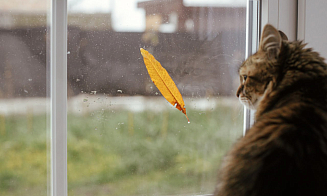 Опять непогода? Синоптики объявили оранжевый уровень опасности на последние выходные июня