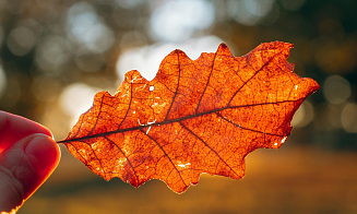 Тепло будет даже ночью. Прогноз погоды на короткую рабочую неделю