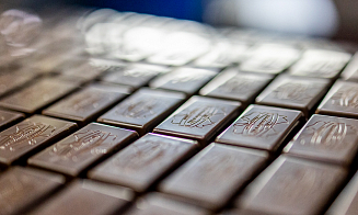 В Беларуси начнут выпускать шоколад для веганов