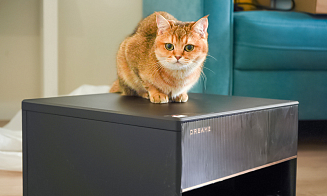 Джентльмены в мире пылесосов. Как мы тестировали новые роботы-пылесосы с «ногами» и интеллектом