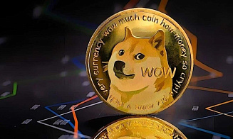 Умерла собака, которая была символом мемной криптовалюты Dogecoin