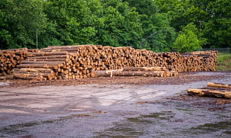 Продажи лесопродукции на бирже выросли почти в 3 раза за январь-февраль