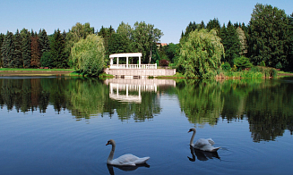 Какие города в Беларуси считаются самыми зелеными