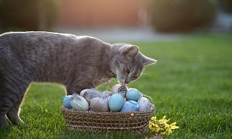 Какая погода будет в Беларуси на православную Пасху