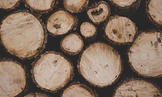 Азербайджан вошел в тройку главных покупателей лесопродукции на белорусской бирже