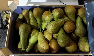 Из Беларуси в Россию не пропустили крупную партию турецких груш