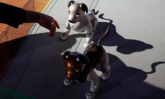 Sony будет пристраивать собак-роботов, от которых отказались владельцы
