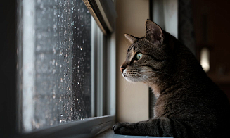 Синоптики предупредили о «сложных погодных условиях» на выходных