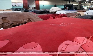 Шкурный вопрос. В Беларуси отменили вывозные пошлины на кожевенное сырье