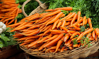 Правительство утвердило пятилетний план выращивания овощей
