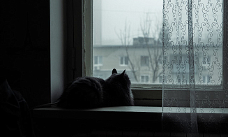 Зима все ближе. Синоптики предупредили о сильных дождях и заморозках в выходные