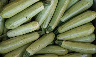 Как отказаться от кабачков и не потерять родных? Разобрали главную летнюю проблему белорусов