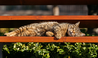 Лето продолжается? Какая погода будет в Беларуси во вторые выходные сентября