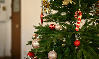 Посланник Трампа, «эффект Долиной» в Беларуси и батл офисных елок — вся неделя за три минуты