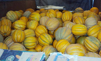 В Беларусь не пропустили крупную партию российских дынь