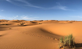 Белгидромет: до Беларуси долетела пыль из Сахары