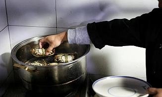 Опять «виноваты» зумеры? Рестораны несут убытки из-за изменения привычек молодежи