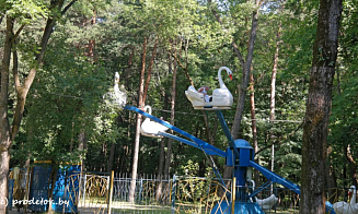 После ЧП в парке им. Челюскинцев на время закроют часть аттракционов в парке им. М. Горького