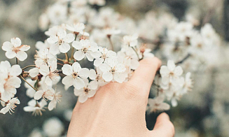 Синоптики предупредили о заморозках 9 мая